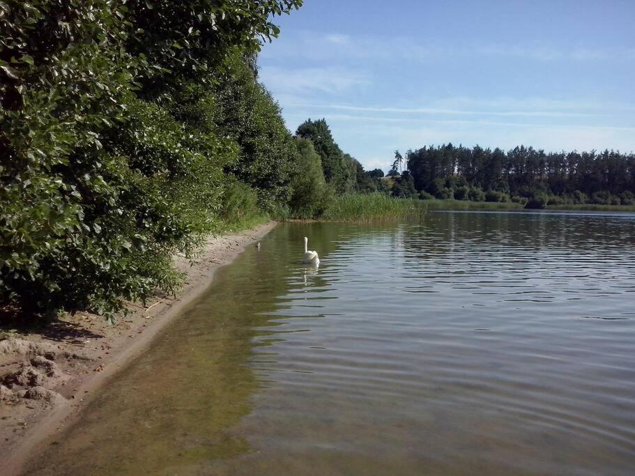 Wakacyjny Dom Na Kaszubach ,jeziora I Lasy. Ferienhaus