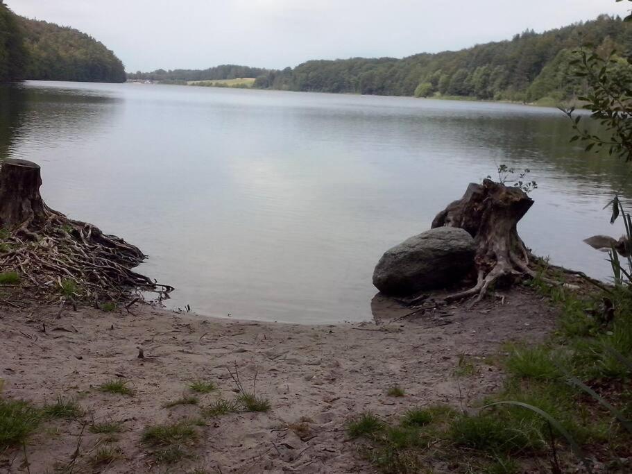 Wakacyjny Dom Na Kaszubach ,jeziora I Lasy. * Grabowko