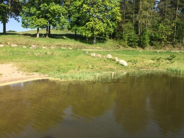 Wakacyjny Dom Na Kaszubach ,jeziora I Lasy. * Grabowko